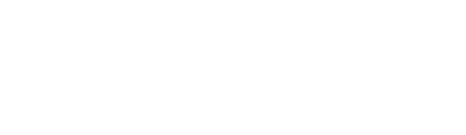 పిడికిలి